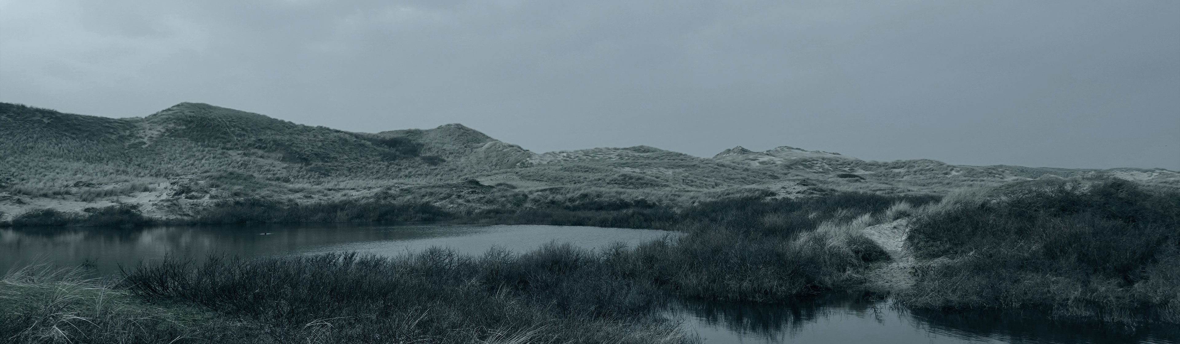 BTW-registratie en BTW-aangiften in Nederland